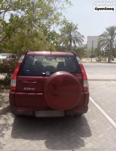 هوندا CR-V Standard 3
