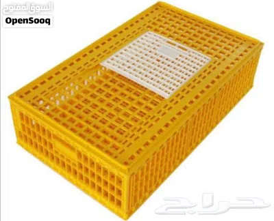 undefined 4