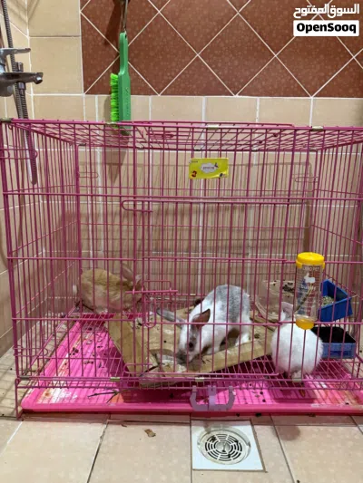 undefined 2