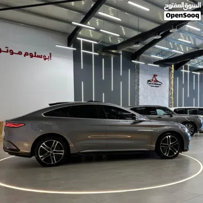 بي واي دي هان 2