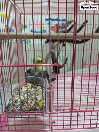 undefined 2