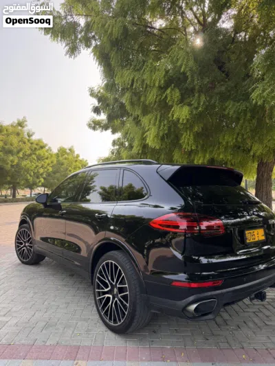 Porsche Cayenne Platinum Edition 4