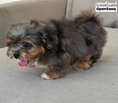 undefined 3