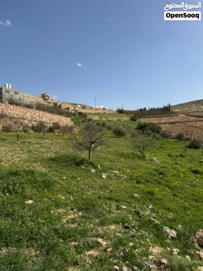 قطعة أرض زراعية من المالك مباشرة 4