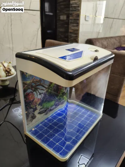 Small glass aquarium tank with lid and filter - ready to use 3
