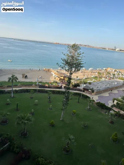 شاليه 3غرف علي البحر بالمعموره الشاطي 2