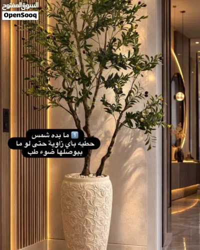 اشجار صناعية وقوارير اكتر من موديل وحجم وباسعار منافسة 2