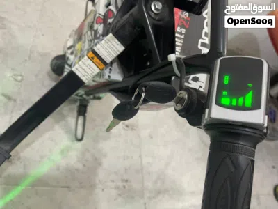 Beverly Electric Bike – Excellent Condition 3