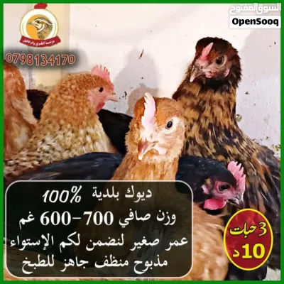 undefined 4