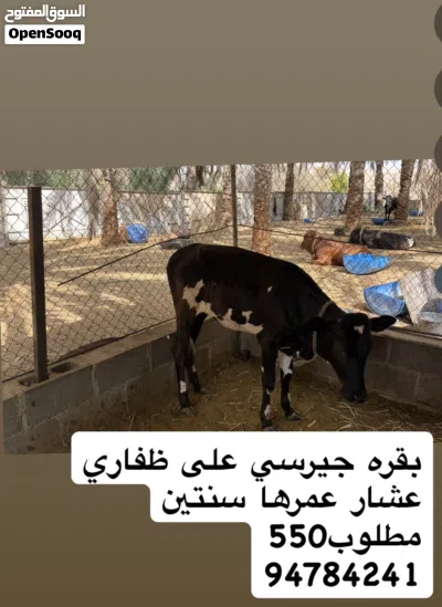 undefined 3