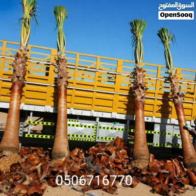 undefined 4