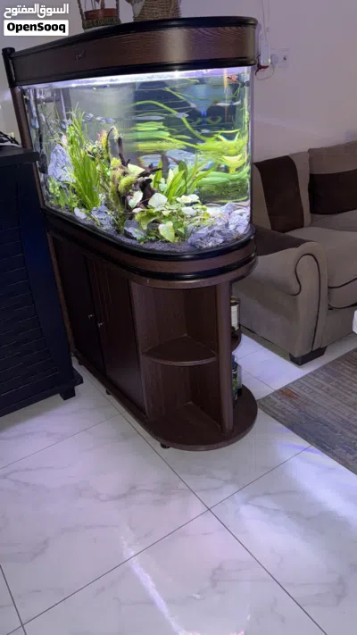 Aquarium maintenance and cleaning services 3