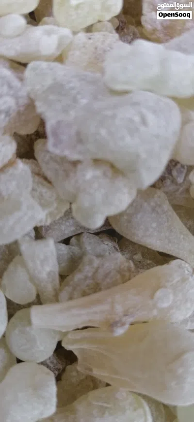 لبان الذكر للعلاج والاكل والشرب رقم واحد اخضر حبات كبيره.. لفتره محدوده... 2