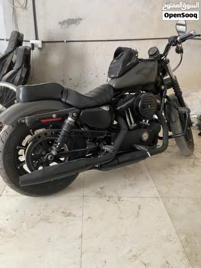 Harley Davidson Iron 883 3