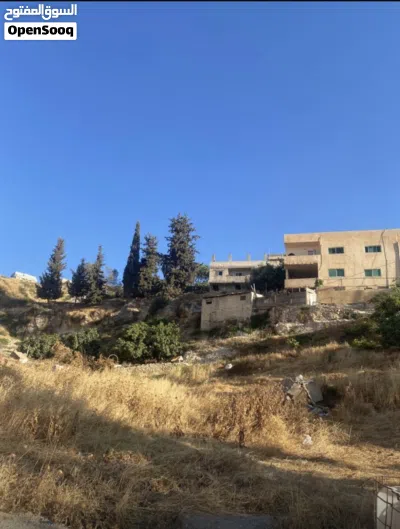 ارض مميزة للبيع من اراضي ناعور على شارع ناعور القديم 2
