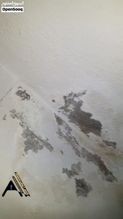 ضرب جميع أنواع الدهانات وترميم جميع انواع مشاكل الدهانت شروخ تساقط رطوبه الدهانات للاسقف والجدران 2