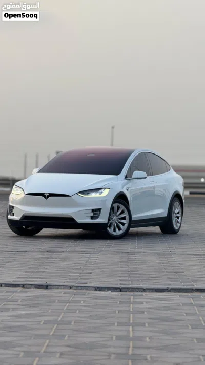 Tesla Model X Long Range 3