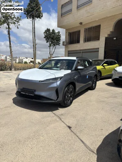 دونج فينج سكاي EV01 3