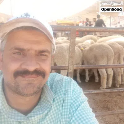 جزار لذبح وتأمين جميع انواع المواشي 2