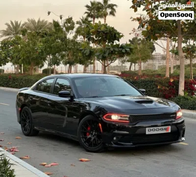 دۆج چارجر R/T 3