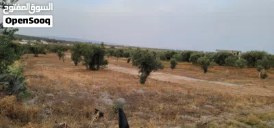 أرض للبيع في الدويخلة الحمامات 4
