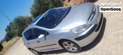 Peugeot 307 Base 2
