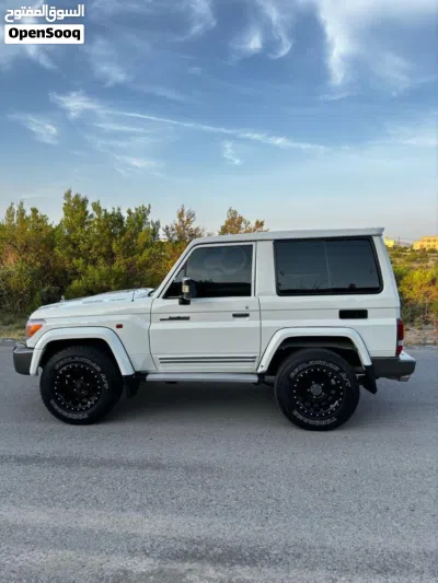 Toyota Land Cruiser Safari 4
