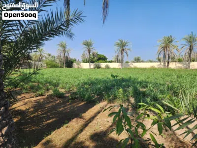 مزرعة فدان باستراحة صغيرة من المالك مباشرة وبئر ماء خاص، وكهرباء ومساحة بناء وتصريح 2