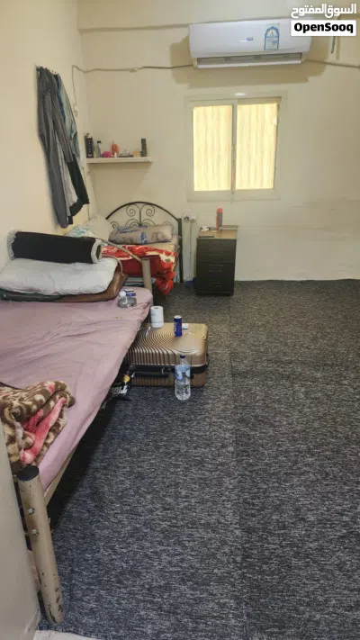 مشاركة سكن استديو كبير 4