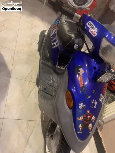 Tiger Saviny 2