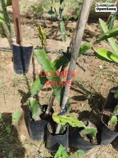 undefined 2