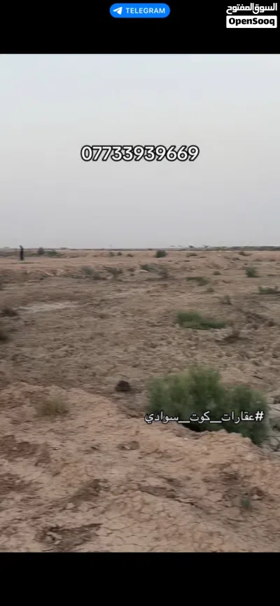 نص دونم للبيع طابو ملك صرف 2