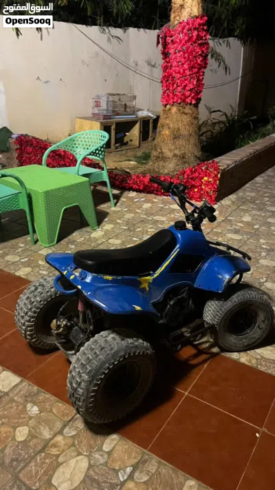 Suzuki Other 3