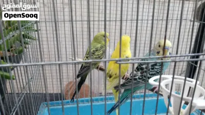 undefined 2