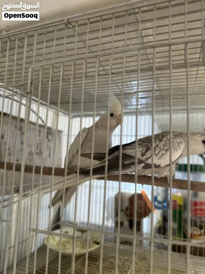 undefined 2