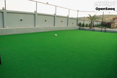 مزرعة المملكه ديلارا العالوك بلقرب من شارع الاردن الايجار اليومي 3