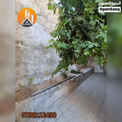 شقة لعرسان شبه ارضي مدخل مستقل مع ساحات على الداير 2 مدخلين مشمسة مع احواض زريعة في القصور 4