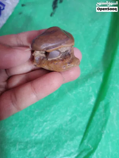 احجار سلطاني 2