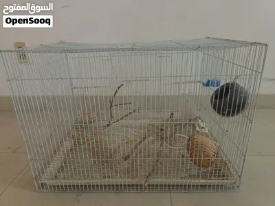 undefined 2