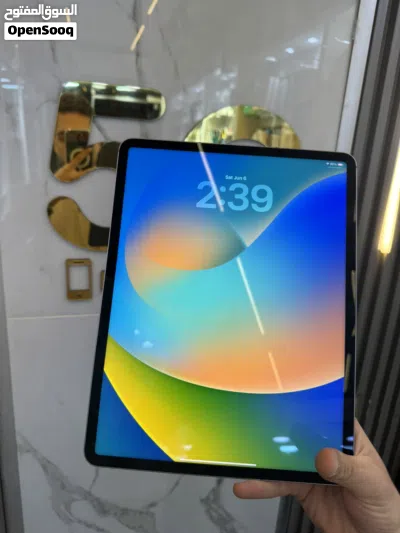 iPad M2 (256G) 2