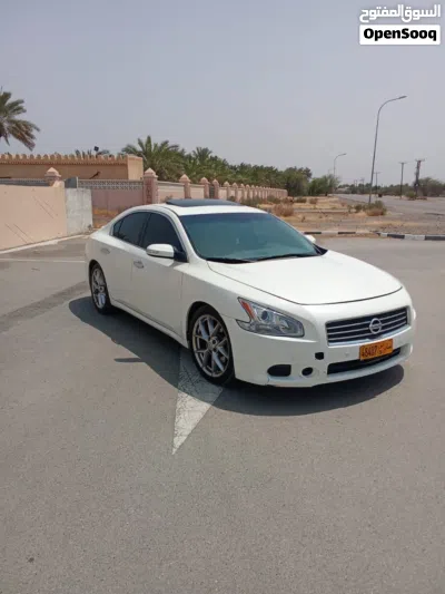 نيسان مكسيما SV 4