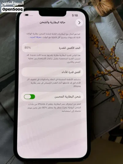 13عادي مش مفتوح مش مغير شي محلي 3