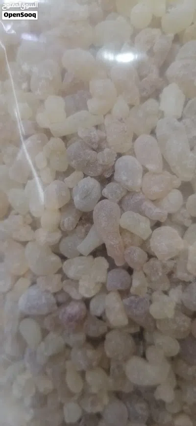 لبان بخور حوجري ممتاز.. درجه اولي وسعر مناسب.. وكذالك لبان دكر للعلاج والاكل والشرب.. بسعر ممتاز 4