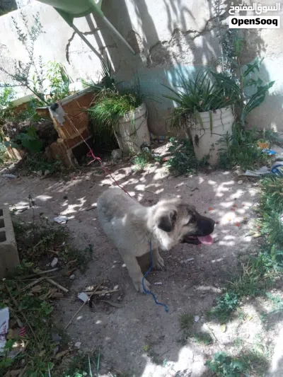 undefined 3