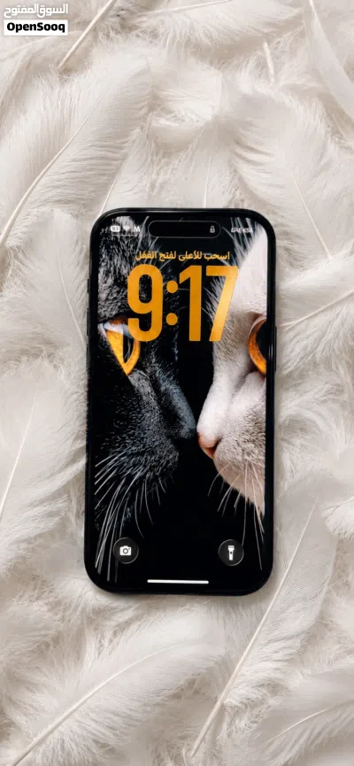 عادي iPhone 15 2