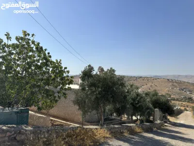 مزرعة ريفية للبيع في بيرين صروت مطلة بسعر مميز 4