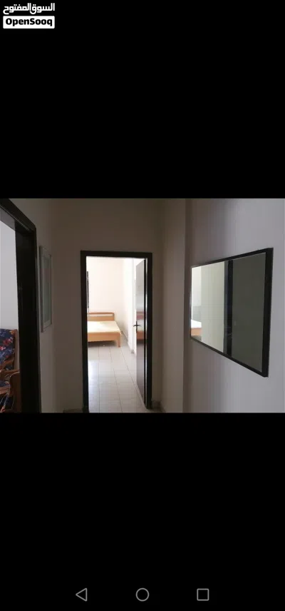 استوديو في الكسليك قرب جامعة الروح القدس للإيجار 4