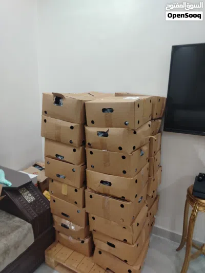 يتوفر تمر فرض جوده عاليه و ممتازه تمر 2025 4