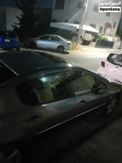 Peugeot 407 SW 2