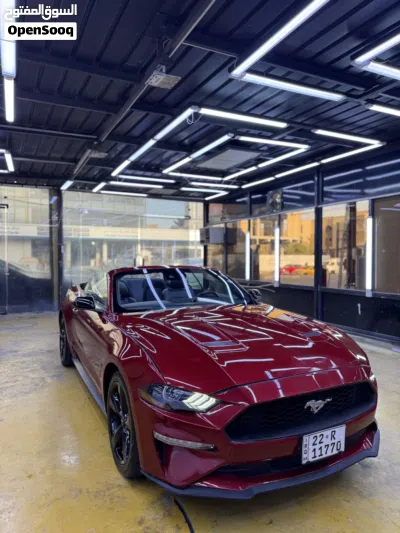 Ford Mustang EcoBoost 2